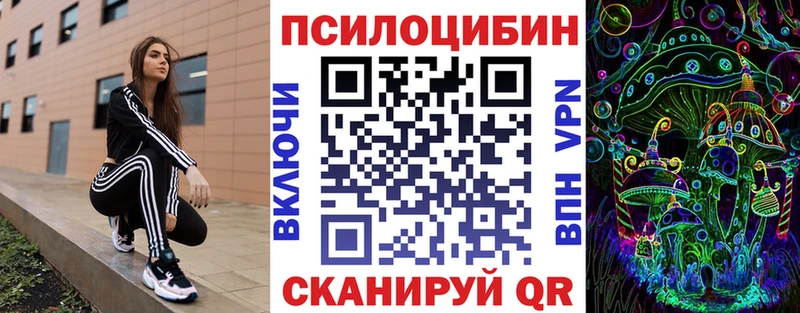 Купить где  Будённовск  Галлюциногенные грибы мицелий 
