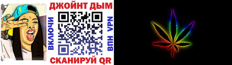 Купить где Будённовск Канабис сатива